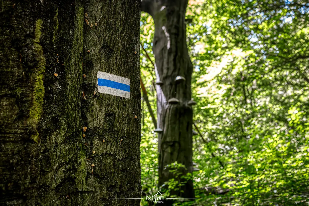 rezerwat Segiet - niebieski szlak