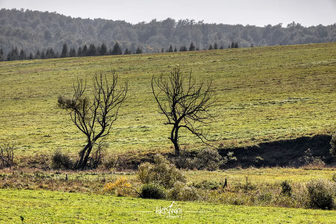 dolina na szlaku na przełęcz Beskid nad Czeremcha