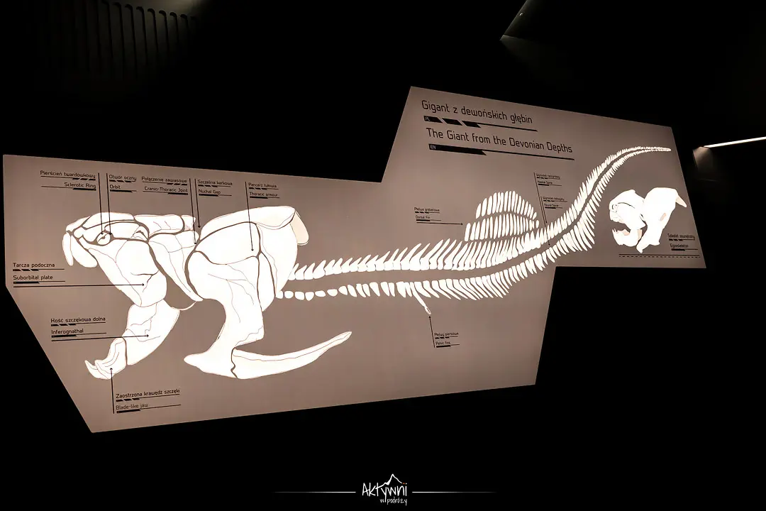 centrum geoedukacji - gigant z dewońskich głębin